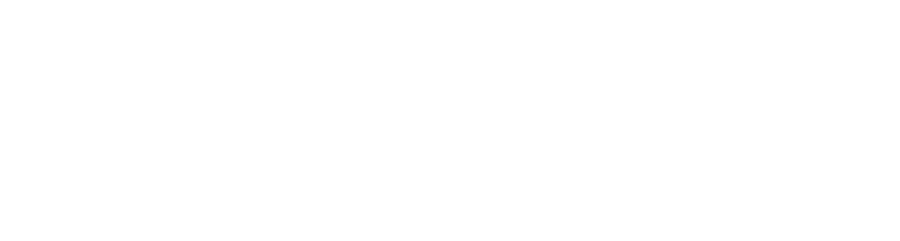 PSG VIETNAM IMMIGRATION COMPANY